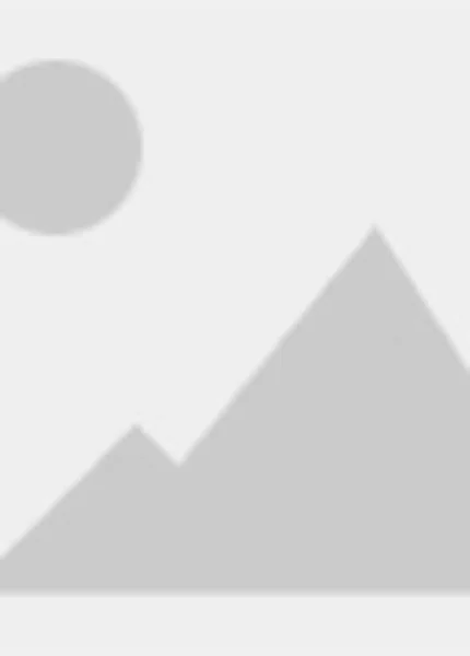 一種點焊設備用壓料機構(gòu)